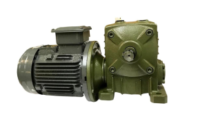 Chenta ASM Worm gear