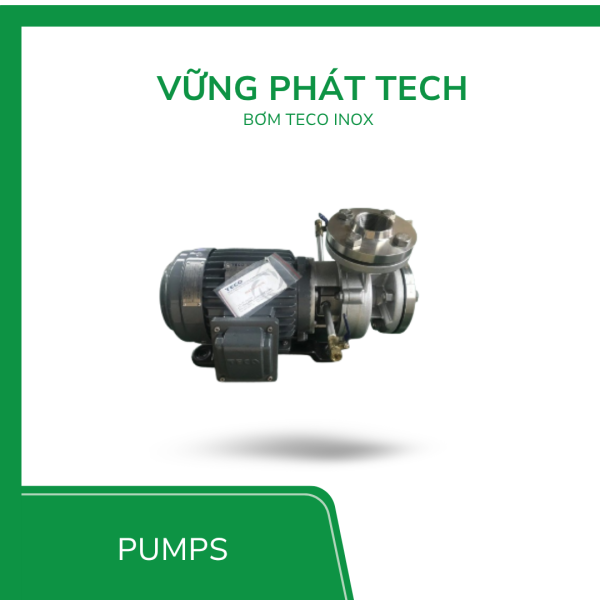 Máy bơm nước Teco đầu inox