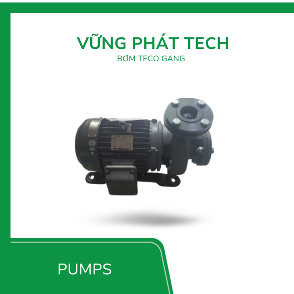 Máy bơm nước Teco đầu gang