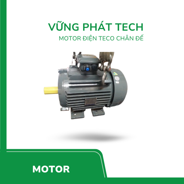 Motor điện Teco chân đế aesv
