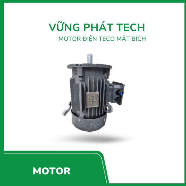 Motor điện Teco mặt bích Aesu