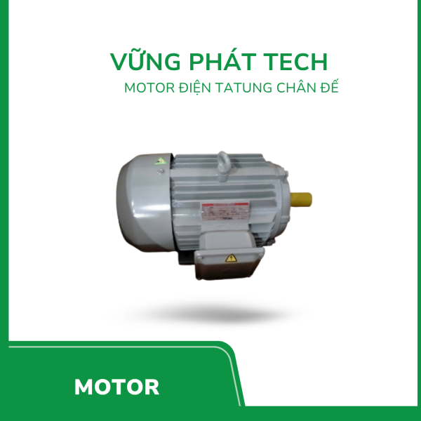 Motor điện Tatung chân đế