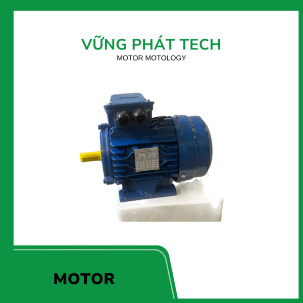 Motor điện Motology
