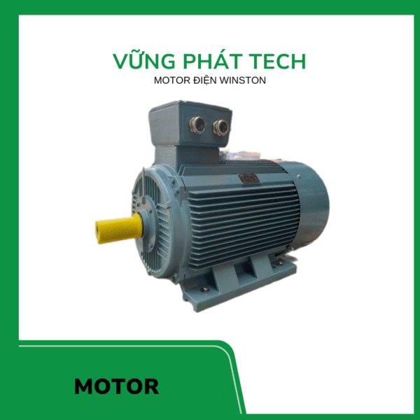 Motor điện Winston