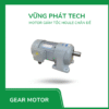 Motor giảm tốc houle chân đế
